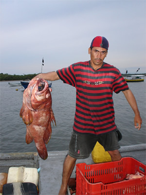 Grouper Fishing Panama.