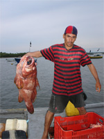Grouper Fishing Panama