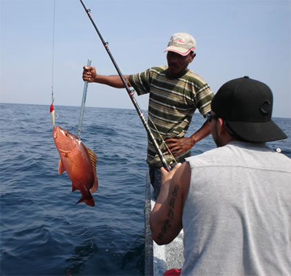 Red Snapper Fishing In Isla Iguana, Pedasi, Panama.
