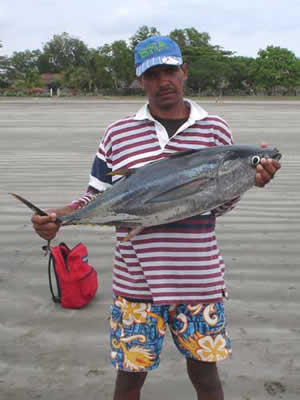 Tuna Photo In Panama.