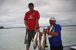 Tuna fishing Panama