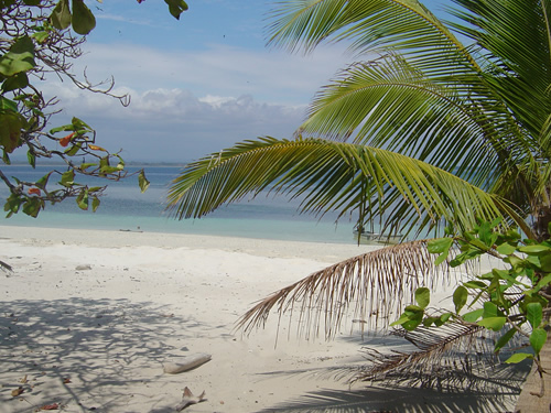 perfect hammock environment on Isla Iguana